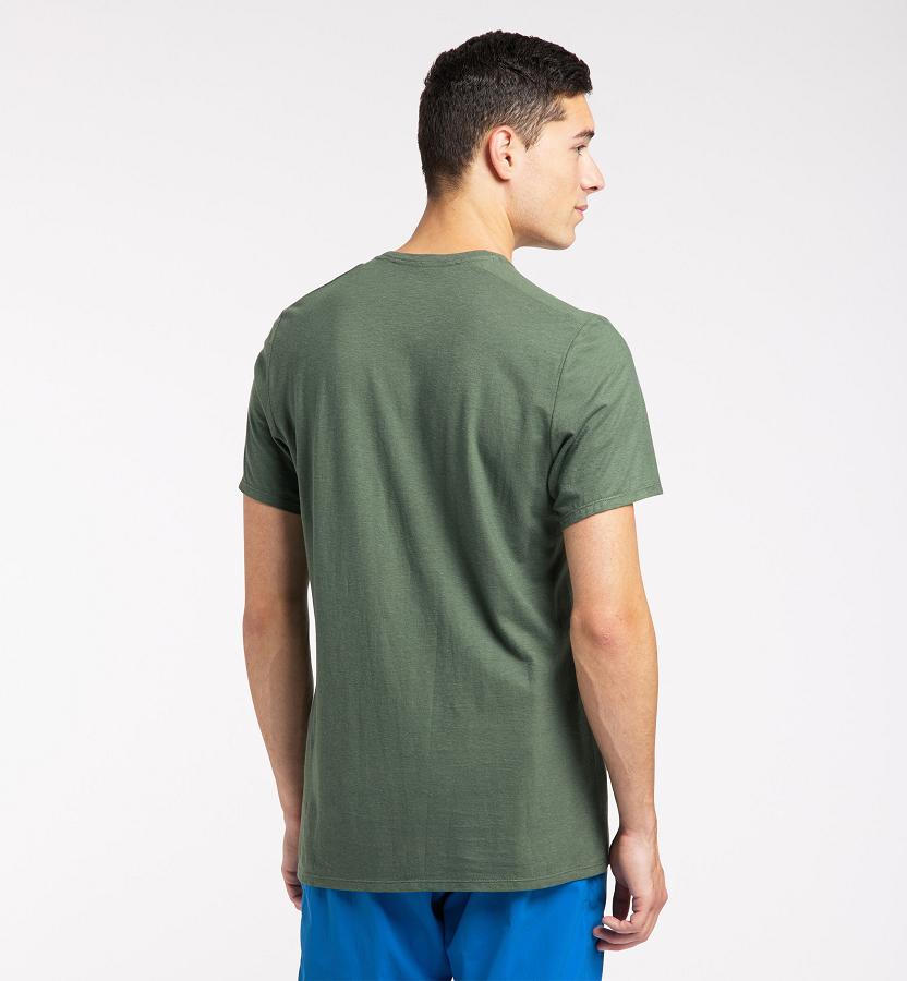 Haglöfs Mens Träd T-Shirt Dark Green New Zealand 95218IXWZ